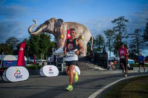 BIB: 
                            <button type="button" onclick="openModal(26541827)" class="btn btn-primary btn-sm float-right btn-popup" data-toggle="modal" data-target=".modal-high-quality">
                        <i class="fas fa-shopping-cart"></i> Add to Cart
                    </button>
                                            <button type="button" onclick="isThisMe(26541827, true)" class="btn btn-success btn-sm float-right btn-popup btn-isme hidden" data-toggle="tooltip" data-placement="bottom" title="นี่คือรูปของคุณใช่ไหม คลิกที่นี่เพื่อเอาเข้าอัลบั้ม">
                        <i class="fas fa-plus"></i> Add to album
                    </button>
                    <button type="button" onclick="isThisMe(26541827, false)" class="btn btn-warning btn-sm float-right btn-popup btn-isnotme hidden">
                        <i class="fas fa-ban"></i> Remove from album
                    </button>